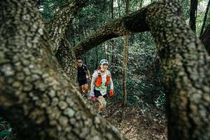 BIB: 
                            <button type="button" onclick="openModal(25391872)" class="btn btn-primary btn-sm float-right btn-popup" data-toggle="modal" data-target=".modal-high-quality">
                        <i class="fas fa-shopping-cart"></i> Add to Cart
                    </button>
                                            <button type="button" onclick="isThisMe(25391872, true)" class="btn btn-success btn-sm float-right btn-popup btn-isme hidden" data-toggle="tooltip" data-placement="bottom" title="นี่คือรูปของคุณใช่ไหม คลิกที่นี่เพื่อเอาเข้าอัลบั้ม">
                        <i class="fas fa-plus"></i> Add to album
                    </button>
                    <button type="button" onclick="isThisMe(25391872, false)" class="btn btn-warning btn-sm float-right btn-popup btn-isnotme hidden">
                        <i class="fas fa-ban"></i> Remove from album
                    </button>